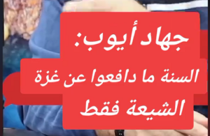 Read more about the article السنة والشيعة ودفاعهم عن غزة