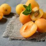 ما الفرق بين المشمش الطازج والمجفف؟ وأيهما الأفضل؟