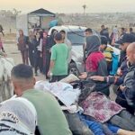 ثونبرغ ـ ماكوري ـ أسانج: فلسطين في قلب العالم