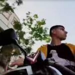 حمامة تحلق خلف صاحبها في شوارع القاهرة
