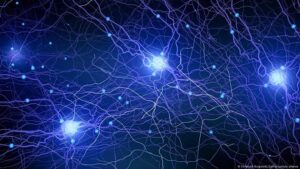 Read more about the article اكتشاف علمي سويدي يعيد الجدل حول تجدد خلايا المخ البشري