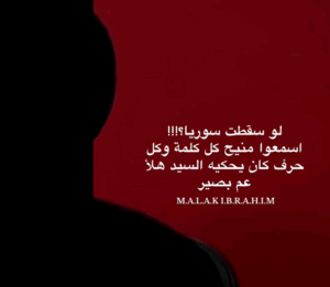 Read more about the article السيِد يقول: لو سقطت سوريا