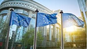 Read more about the article إعلام عبري: أوروبا تتحرك لتعليق عمل شركات أمنية الكيان في “هورايزون”