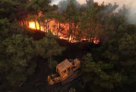 Read more about the article حرائق الساحل السوري: تنظيم متطرف يتبنى الكارثة من أجل تهجير العلويين