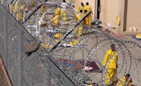 Read more about the article قانون العفو العام يدخل التنفيذ التدريجي.. وتساؤلات حول مصير المحكومين بقضايا الإرهاب