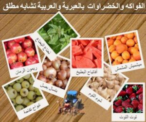 Read more about the article الكيان يأكل تُفّاح وفلسطين تموت عالسياج.. منتجاتٌ غذائيّةٌ عربيّةٌ تتدفق للكيان خلال تجويع غزة.. بياناتٌ رسميّةٌ تُظهر صادرات الدول المُطبِّعة حتى يونيو الفائت