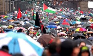 Read more about the article “مسيرة من أجل الإنسانية”.. آلاف المتظاهرين المؤيدين للفلسطينيين ينظمون مسيرات عبر جسر هاربور في سيدني