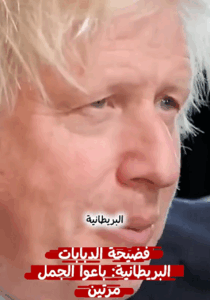 Read more about the article فضيحة الدبابات البريطانية: باعوا الجمل مرتين”