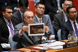 Read more about the article جلسة لمجلس الأمن بشأن غزة ومواقف عديدة تطالب بوقف إطلاق النار