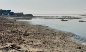 Read more about the article بحر النجف يجفّ.. وزارة الموارد تبرر والبيئيون يحذّرون من كارثة صامتة