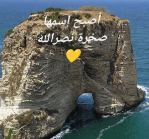 Read more about the article صخرة لبنان