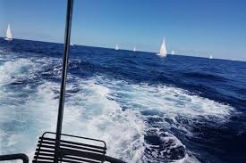 Read more about the article إيطاليا تندد بالهجوم على أسطول الصمود وترسل سفينة للمساعدة