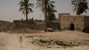 Read more about the article زيادة ملوحة المياه تقضي على مصادر رزق عراقيين وصحتهم