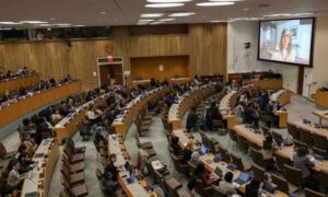 Read more about the article فرانشيسكا ألبانيزي لـ”القدس العربي”: المجتمع الدولي متواطئ منذ 1948 في حرب الإبادة ضد الشعب الفلسطيني