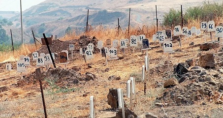 You are currently viewing سرقة الأعضاء واحتجاز جثامين الشهداء الفلسطينيين: جريمة حرب الإحتلال الصهيوني وانتهاك للكرامة الإنسانية