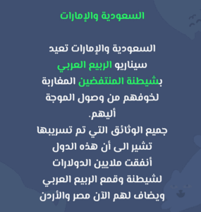 Read more about the article السعودية والإمارات تعيد سيناريو الربيع العربي…