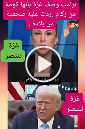 You are currently viewing صحفية امريكية نرد على ترامب عندما وصف غزة بإنها كومة من ركام