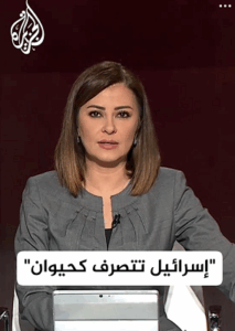 Read more about the article اغتيال انس الشريف من منظور آيرين خان