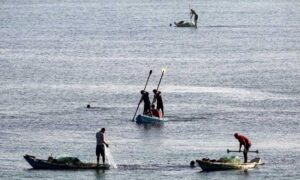 Read more about the article بأمل هش.. عودة محفوفة بالمخاطر لصيادي غزة إلى البحر