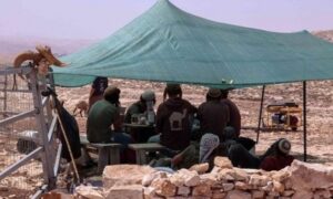 Read more about the article الضفة الغربية: الاحتلال يستولي على أراض زراعية ويهدم منازل مأهولة