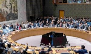 Read more about the article القرار 2803: غزة ونوادر مجلس الأمن الدولي