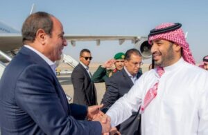 Read more about the article ﻿ عيون الكيان الصهيوني ترصد خطة مصرية سعودية لنشر قوة دولية مؤقتة في قطاع غزة تهدف إلى تثبيت الهدوء وتمهيد الطريق أمام المرحلة الثانية