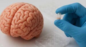 Read more about the article كبسولة الرياضة.. تحاكي تأثير التمرين وتبطئ الشيخوخة