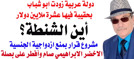 You are currently viewing د.أسامة فوزي  – ابو شباب وشنطة العشرة ملايين دولار