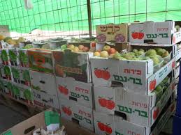 Read more about the article تقارير: المقاطعة الدولية بسبب الحرب على غزة تهدّد الصادرات الزراعية للكيان