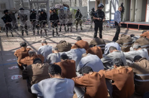 Read more about the article 9500 أسير يتعرضون للتعذيب في سجون الاحتلال…”مركز فلسطين” يطالب بتحرّك دولي عاجل