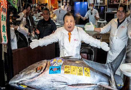 Read more about the article سمكة تونة بـ (3.2) ملايين دولار في طوكيو