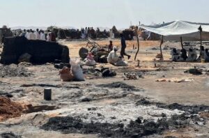 Read more about the article لجنة تقصي الحقائق بالسودان: لدينا إثبات عن ارتكاب “الدعم السريع” إبادة جماعية في الفاشر