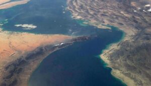 Read more about the article تحالف بحري يلوح في الأفق.. تحركات دولية لحماية «هرمز»