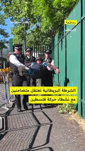 You are currently viewing الشرطة البريطانية تعتقل متضامنين مع نشطاء حركة فلسطين