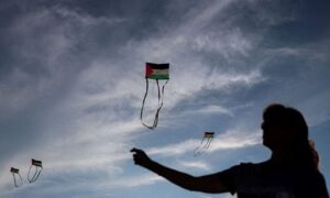 Read more about the article نشطاء يطلقون عشرات الطائرات الورقية بألوان العلم الفلسطيني تزامنا مع مهرجان البندقية السينمائي