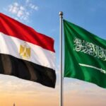 لجنة العلاقات الخارجية بمجلس النواب المصري: لسنا في حرب مع الحوثيين ولا نستهدف شن هجمات داخل اليمن