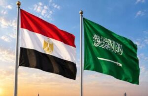 Read more about the article لجنة العلاقات الخارجية بمجلس النواب المصري: لسنا في حرب مع الحوثيين ولا نستهدف شن هجمات داخل اليمن