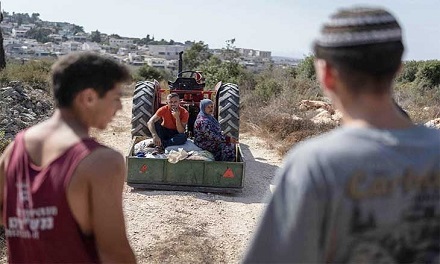 فتوى الحاخام ليؤور: سرقة أراضي الفلسطينيين «فريضة الاحتلال»!